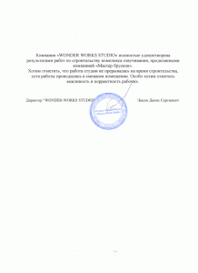 Директор студии "Wonder Works" Басов Д.С.